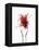 Saffron Threads in Tongs-Marc O^ Finley-Framed Premier Image Canvas