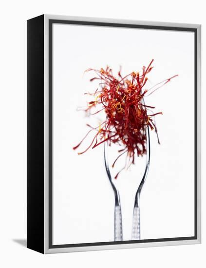 Saffron Threads in Tongs-Marc O^ Finley-Framed Premier Image Canvas