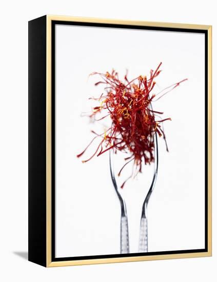 Saffron Threads in Tongs-Marc O^ Finley-Framed Premier Image Canvas