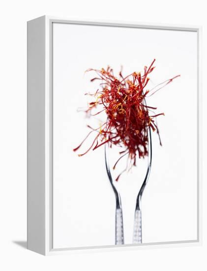 Saffron Threads in Tongs-Marc O^ Finley-Framed Premier Image Canvas