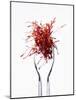 Saffron Threads in Tongs-Marc O^ Finley-Mounted Photographic Print