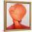 Saffron Turban-Lincoln Seligman-Framed Premier Image Canvas