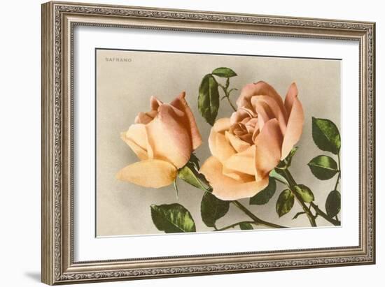 Safrano Roses-null-Framed Art Print