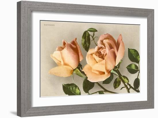 Safrano Roses-null-Framed Art Print