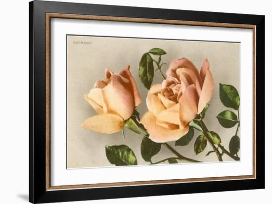 Safrano Roses-null-Framed Art Print