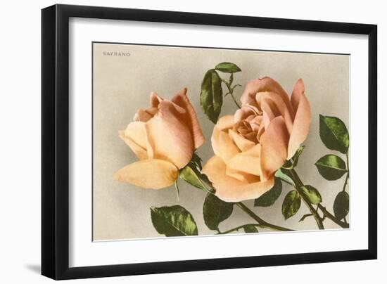 Safrano Roses-null-Framed Art Print