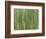 Sagano Bamboo Forest in Kyoto-Rudy Sulgan-Framed Photographic Print