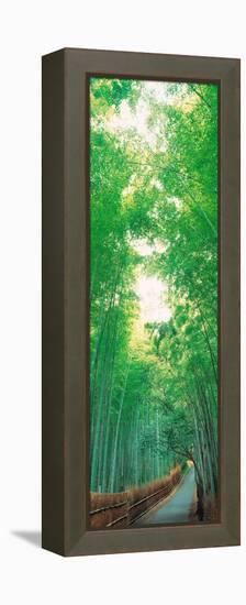 Sagano Kyoto Japan-null-Framed Stretched Canvas