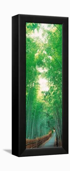 Sagano Kyoto Japan-null-Framed Stretched Canvas