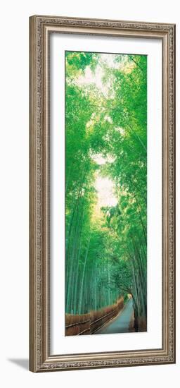 Sagano Kyoto Japan-null-Framed Photographic Print