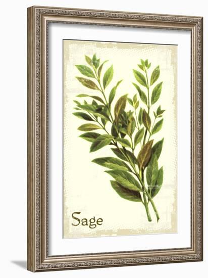 Sage antique-The Saturday Evening Post-Framed Giclee Print