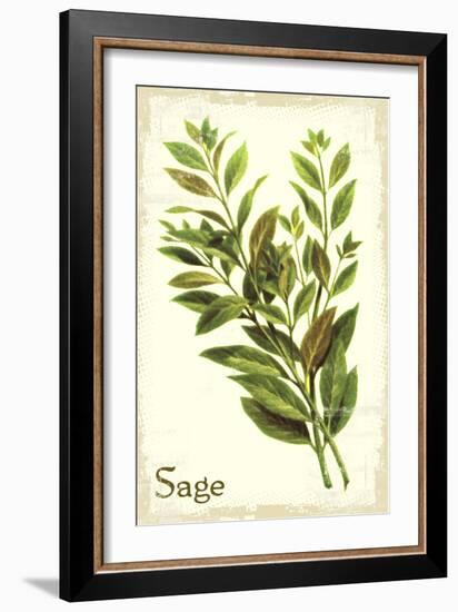 Sage antique-The Saturday Evening Post-Framed Giclee Print