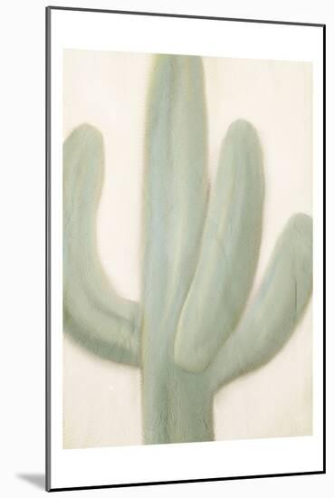 Sage Cactus 1-Kimberly Allen-Mounted Art Print