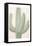 Sage Cactus 1-Kimberly Allen-Framed Stretched Canvas