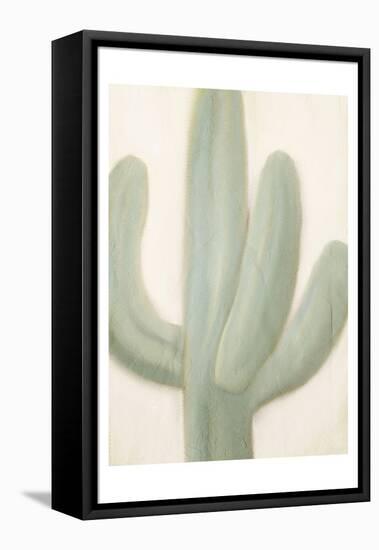 Sage Cactus 1-Kimberly Allen-Framed Stretched Canvas