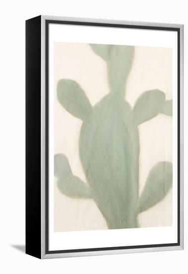 Sage Cactus 2-Kimberly Allen-Framed Stretched Canvas