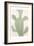 Sage Cactus 2-Kimberly Allen-Framed Premium Giclee Print