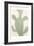 Sage Cactus 2-Kimberly Allen-Framed Art Print