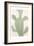 Sage Cactus 2-Kimberly Allen-Framed Art Print