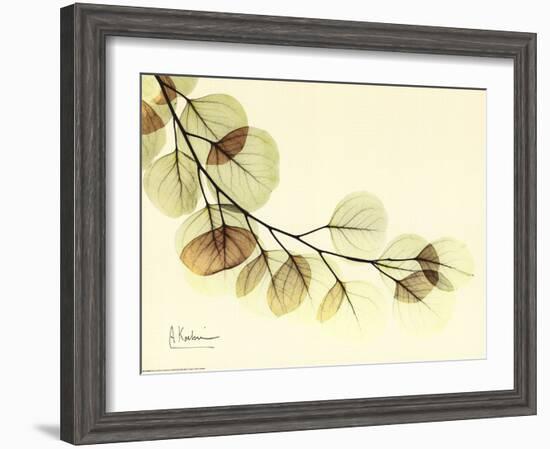 Sage Eucalyptus Leaves II-Albert Koetsier-Framed Art Print