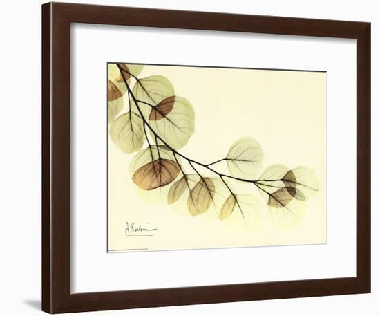 Sage Eucalyptus Leaves II-Albert Koetsier-Framed Art Print