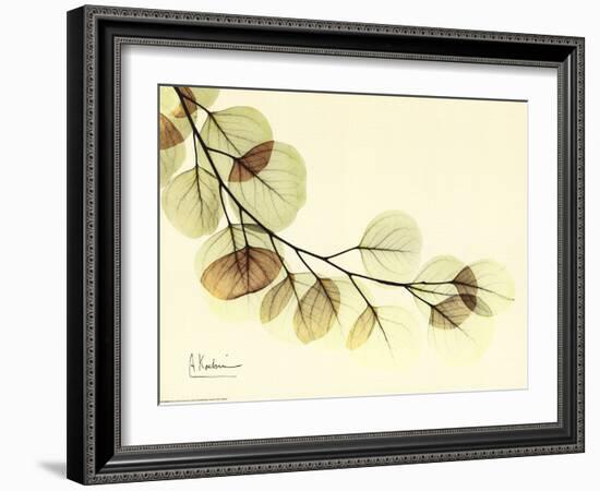 Sage Eucalyptus Leaves II-Albert Koetsier-Framed Art Print