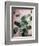 Sage Eucalyptus No. 1-Lupen Grainne-Framed Photographic Print