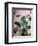 Sage Eucalyptus No. 1-Lupen Grainne-Framed Photographic Print