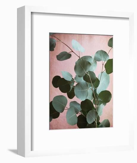 Sage Eucalyptus No. 1-Lupen Grainne-Framed Photographic Print