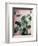 Sage Eucalyptus No. 1-Lupen Grainne-Framed Photographic Print