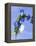 Sage Flowers-Franck Bichon-Framed Premier Image Canvas