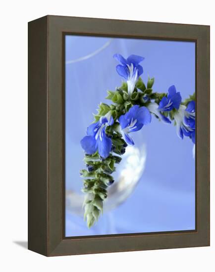 Sage Flowers-Franck Bichon-Framed Premier Image Canvas