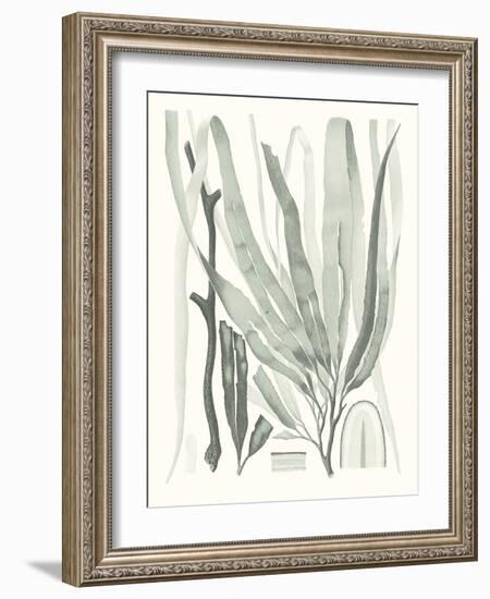 Sage Green Seaweed II-Vision Studio-Framed Art Print