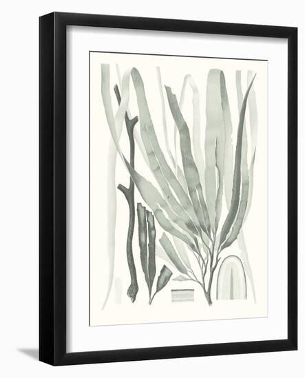 Sage Green Seaweed II-Vision Studio-Framed Art Print