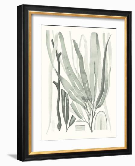 Sage Green Seaweed II-Vision Studio-Framed Art Print