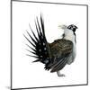 Sage Grouse (Centrocercus Urophasianus), Birds-Encyclopaedia Britannica-Mounted Art Print