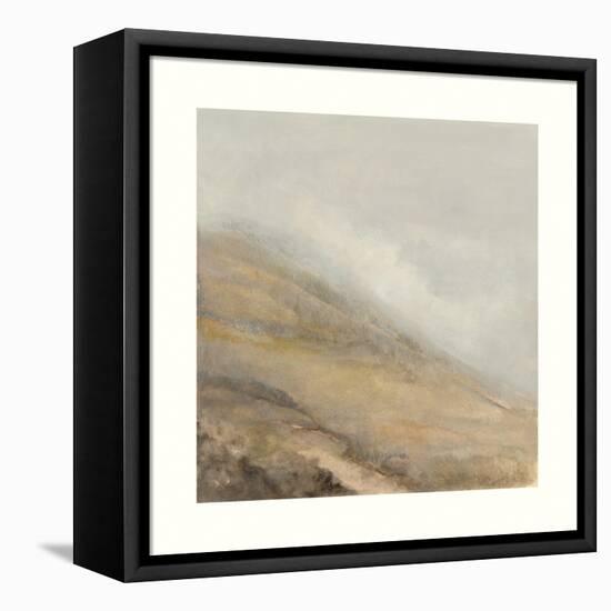 Sage Hill-Sammy Sheler-Framed Stretched Canvas
