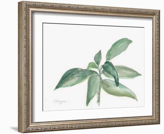 Sage I-Chris Paschke-Framed Art Print