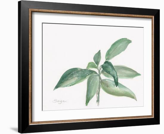 Sage I-Chris Paschke-Framed Art Print