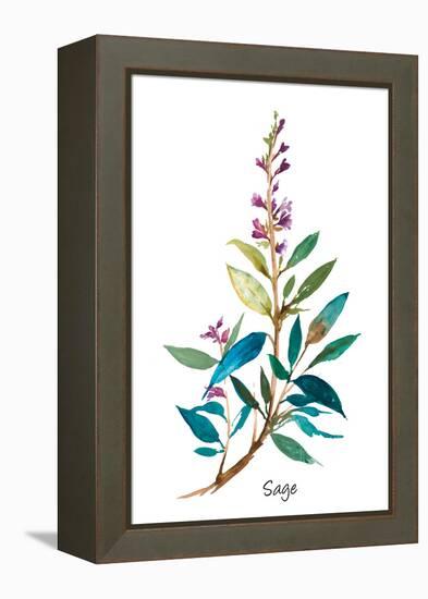 Sage II-Asia Jensen-Framed Stretched Canvas