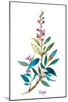 Sage II-Asia Jensen-Mounted Art Print