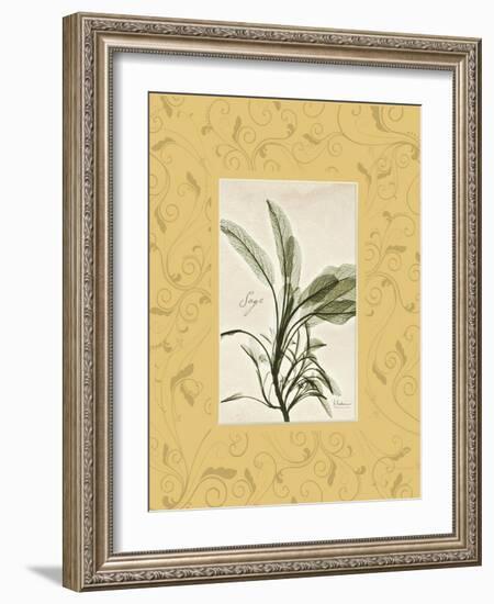 Sage Mat-Albert Koetsier-Framed Art Print