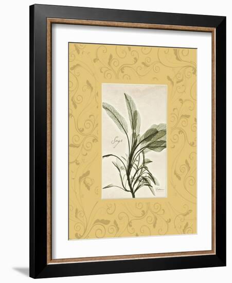 Sage Mat-Albert Koetsier-Framed Art Print