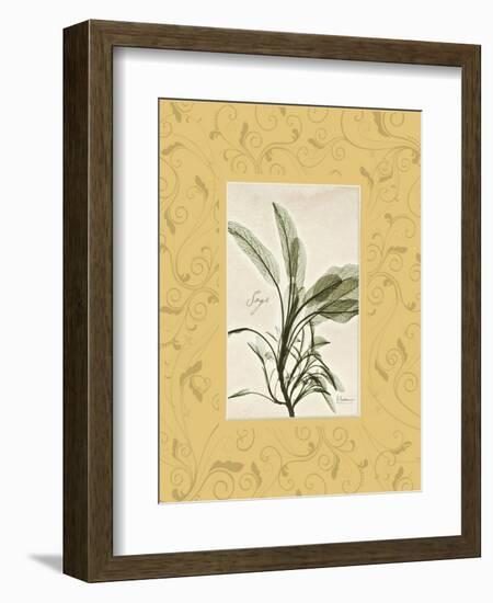 Sage Mat-Albert Koetsier-Framed Premium Giclee Print