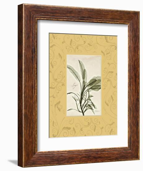 Sage Mat-Albert Koetsier-Framed Premium Giclee Print