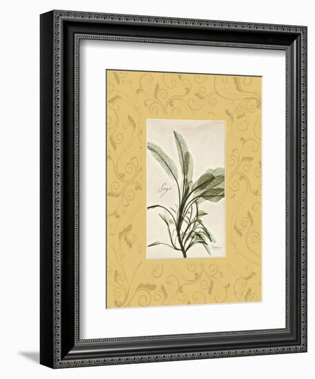 Sage Mat-Albert Koetsier-Framed Premium Giclee Print