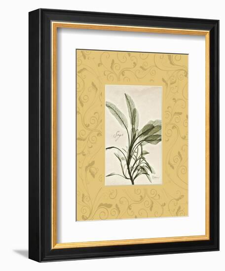 Sage Mat-Albert Koetsier-Framed Premium Giclee Print