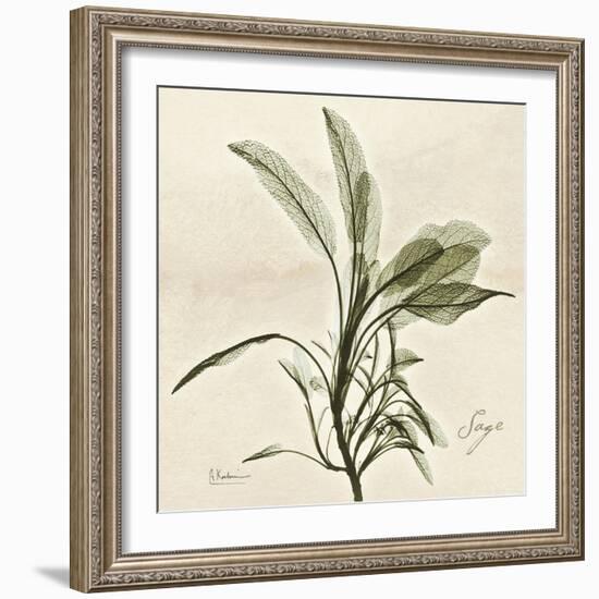 Sage Moment-Albert Koetsier-Framed Art Print