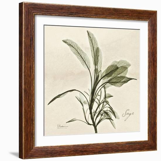 Sage Moment-Albert Koetsier-Framed Art Print