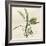 Sage Moment-Albert Koetsier-Framed Art Print